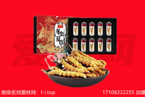 周口市淮阳回收虫草.jpg